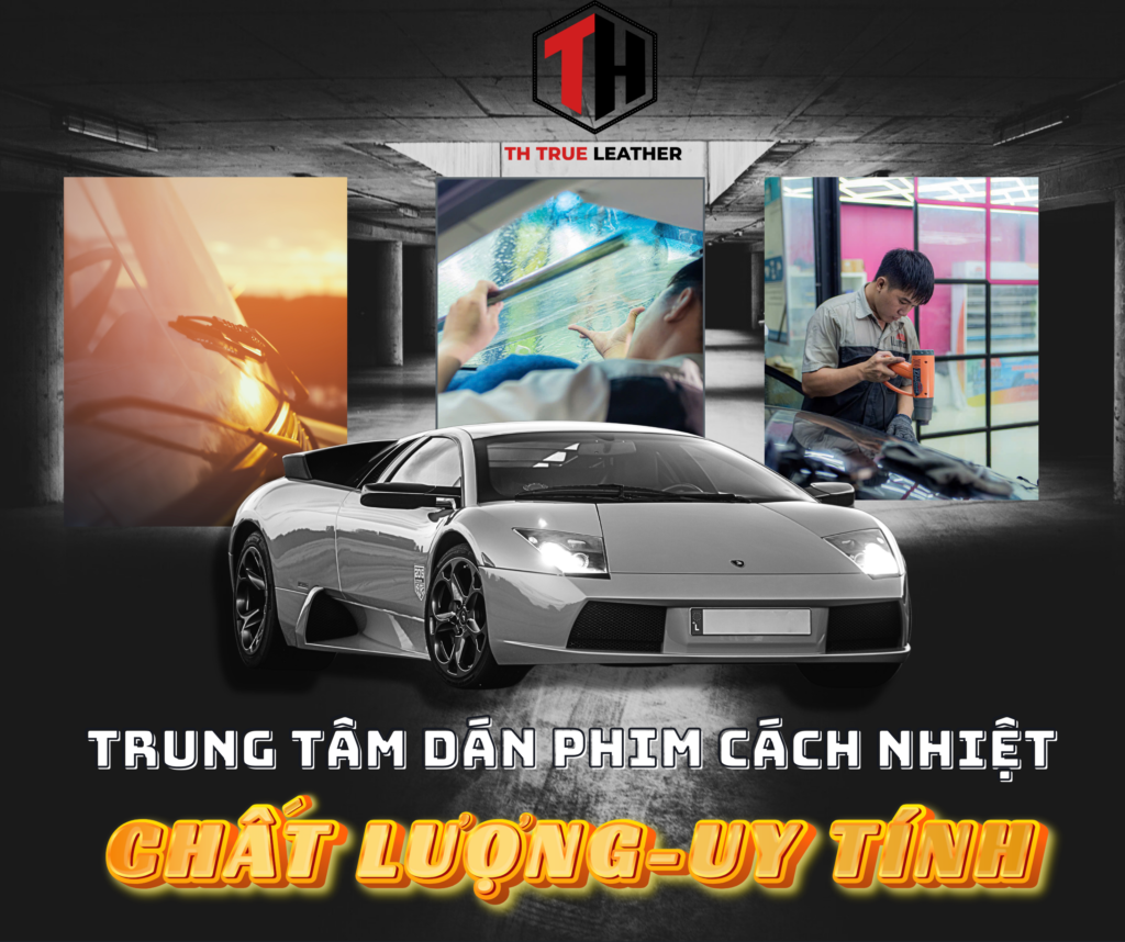 Lịch Sử Hình Thành và Phát Triển TH True Leather